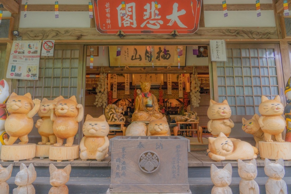 【萩市】猫寺・雲林寺はほっこりスポット、ランチは農家レストランで体にやさしい癒しのむつみ旅。